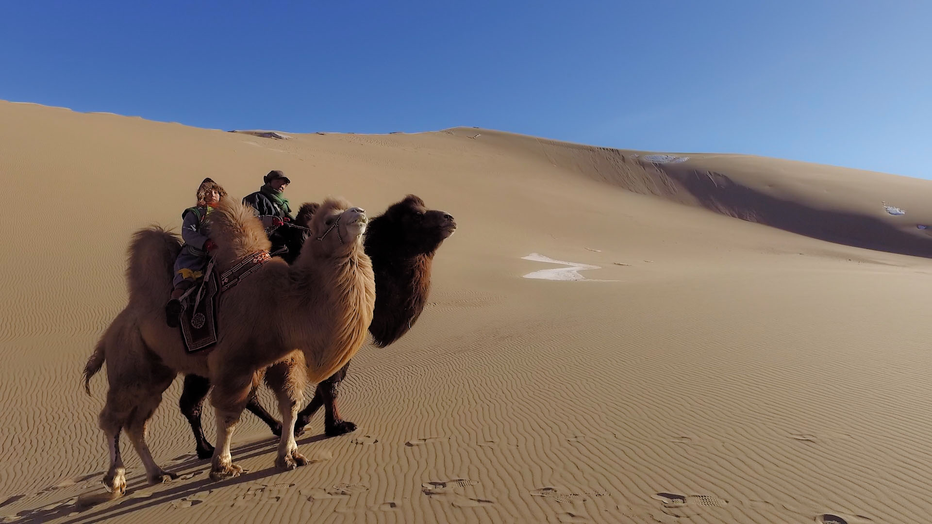 Je-reviendrai-danser-dans-les-dunes-capture-2